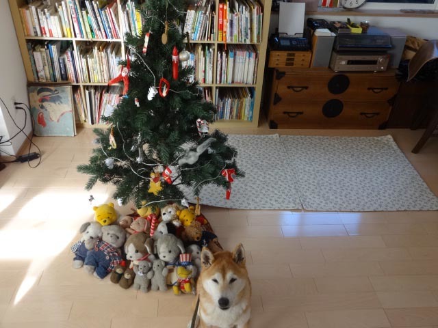ツリー上からまる.jpg